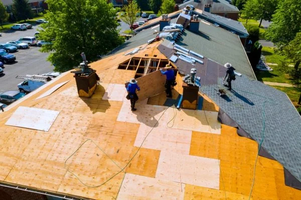 flat roofing boards